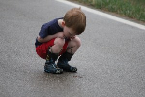 Beaut.two and the earthworm