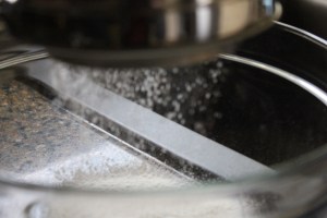 Chocolate Chip Blonde Brownies