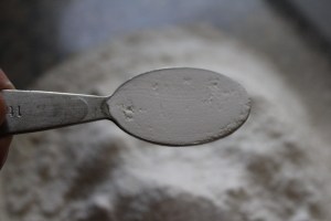 Chocolate Chip Blonde Brownies