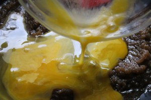 Chocolate Chip Blonde Brownies