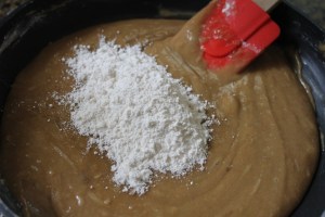 Chocolate Chip Blonde Brownies