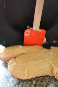 Chocolate Chip Blonde Brownies