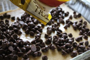 Chocolate Chip Blonde Brownies