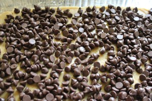 Chocolate Chip Blonde Brownies