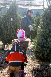 Christmas Tree Farm