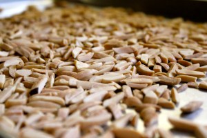 Personalized Christmas Cookies