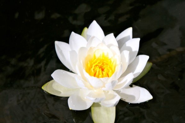 Since we last spoke...