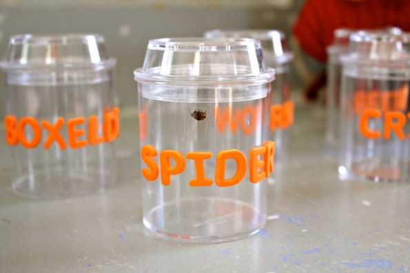 A Bug Birthday Party