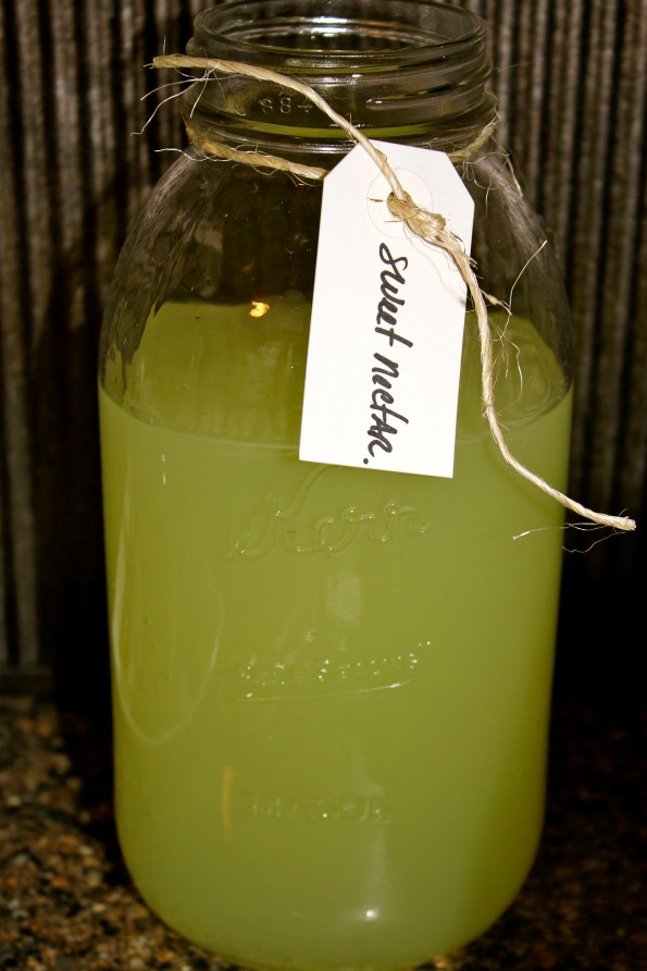 A Bug Birthday Party