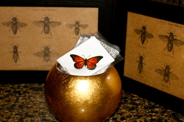 A Bug Birthday Party