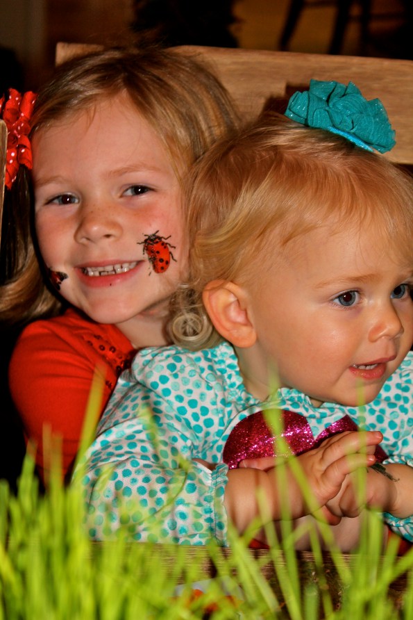 A Bug Birthday Party